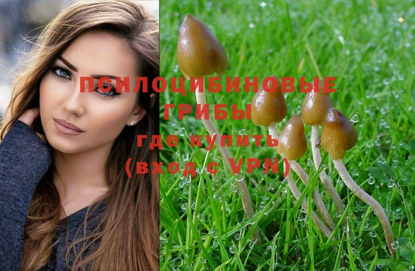 индика Навашино