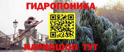 2c-b Заводоуковск