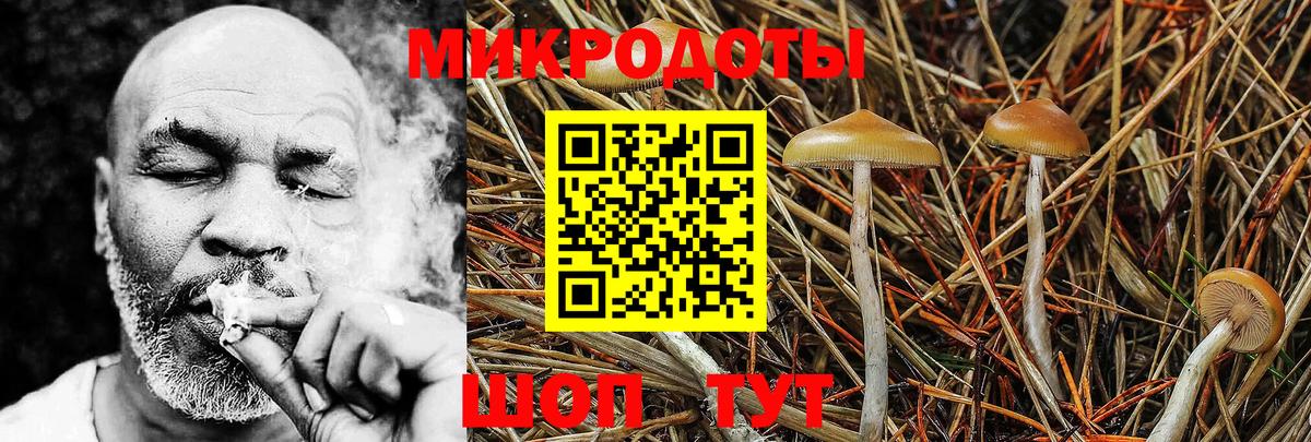 Галлюциногенные грибы MAGIC MUSHROOMS Лениногорск