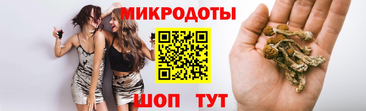 Псилоцибиновые грибы Psilocybine cubensis  Псилоцибиновые грибы ЛСД  купить наркотики цена  Лениногорск  Вход с VPN 