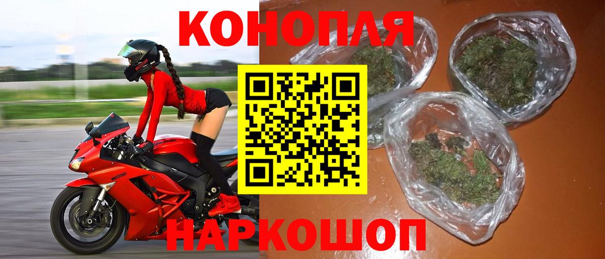 Марихуана сатива  Лениногорск  Канабис конопля  Бошки марихуана тримм 